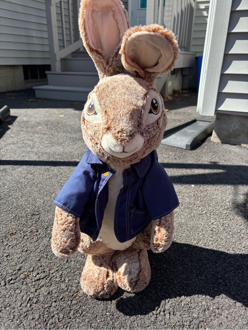 Peter rabbit toy
